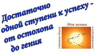 Достаточно одной ступени к успеху - от остолопа до гения.  Аудиоформат блога