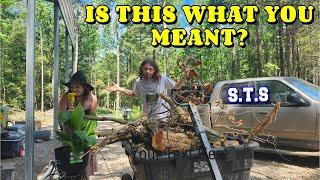 We Have Piles of Piles  | work, couple builds, tiny house, homesteading, off-grid, rv life, rv |