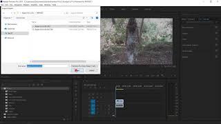 How to Install LUT in Premiere Pro (PRFPSET)