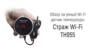 Обзор на умный цифровой Tuya Wi-Fi датчик температуры «Страж Wi-Fi TH955»