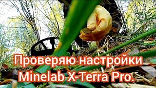 Копаю с разными настройками Minelab X-Terra Pro. ВДИ, озвучка, частота и смена режимов.