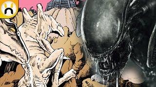 Natural Predator of the Xenomorph Species - Explained