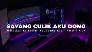 DJ AYO SAYANG CULIK AKU DONG VIRAL TIKTOK ( DJ HARUSKAH KU BERLARI KEPADAMU KASIH )