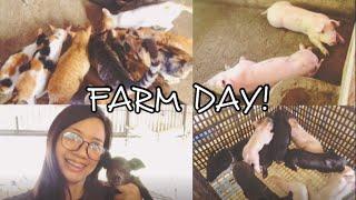 Farm Day! | Carla Rose Vlogs 