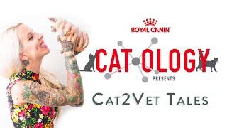 Cat2Vet Tales: Decoding Cat Behavior