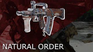 Black Ops Cold War Blueprint Showcase: Natural Order (GROZA)