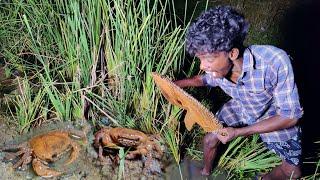 Crabs hunting in the river | River crabs catching & cooking #venu