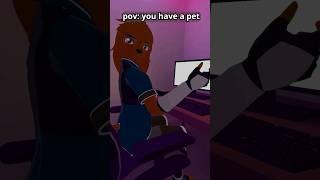 pov you have a pet