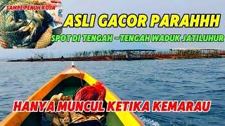 Spot mancing paling gacor wajib di coba || mancing Jatiluhur terbaru!!!