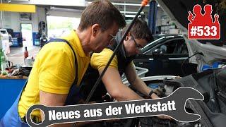 5.000€ für nix?! Werkstattpfusch am E 220?  | Springt er an?  Beetle-Motor komplett erneuert!