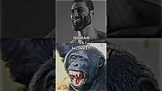 Human Vs Animals