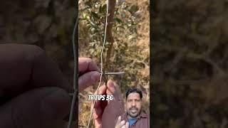 Dil Se banai kuchh aisi tricks #bushcraft #experiment #camping #ropework #survivalskills