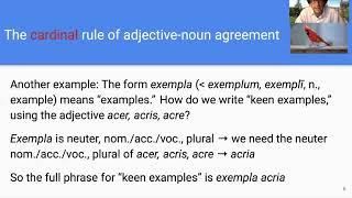 Noun-adjective agreement