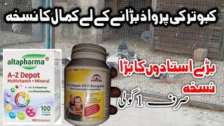 Imported Goli Extra Energy Booster High Flyer Pigeon Perwazi Nuskha kabootar k liya (urdu/hindi)