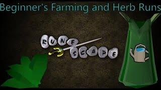 OSRS: Beginner's Guide to Farming and Herb Runs