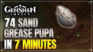 Sand Grease Pupa Locations | Fast & Efficient Route | Alhaitham Ascension Materials【Genshin Impact】