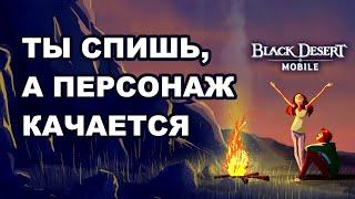 BDM: Как качаться всю ночь в Black Desert Mobile