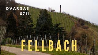 Stuttgart | Fellbach | Winter | March 2023