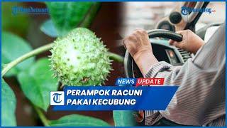 Modus Baru Perampokan Mobil Driver Taksi Online Racuni Korban Pakai Kecubung