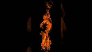 Fire and Flame Overlay 29 - Royalty Free Green Screen Footage - Real Flames