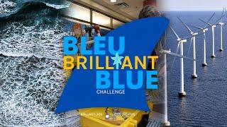 The Brilliant Blue Challenge | Brilliant Labs