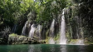 Waterfall Sound •Jungle Waterfall Sound • Relaxing Music with Nature Sounds • Calming  Waterfall HD