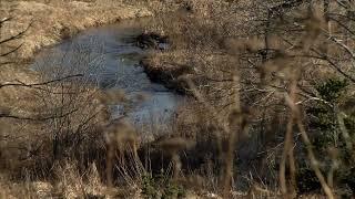 City files a second lawsuit against the owners of the Bangor Mall, accuses them of contaminating