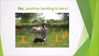 FDSA Webinar Barb Buchmayer Positive Herding 101