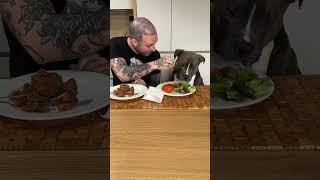 Cena speciale per Mino #funny #funnyvideo #dog #pets