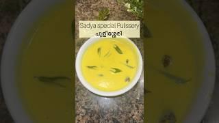 ഓണം സദ്യ സ്പെഷ്യൽ പുളിശ്ശേരി Pulissery | Onam Sadya Special #minivlog #22 #sadyarecipes #onam