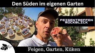 Hol dir den Süden in den eigenen Garten | Rückblick Feigentreffen | Gartenrundgang September