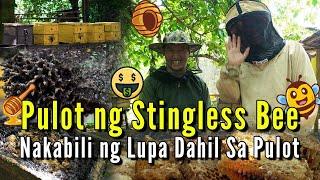 Stingless Bee I Lukot I Nakabili ng Lupa Dahil sa Bubuyog