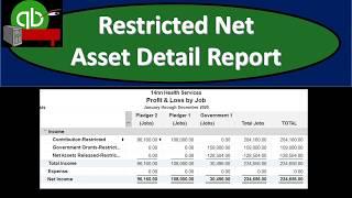 Restricted Net Asset Detail Report 190