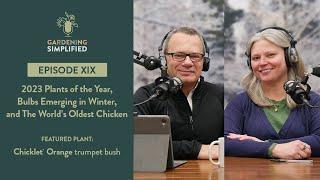 2023 Plants of the Year, Bulbs Emerging in Winter, One Old Chicken | Gardening Simplified Show | 19