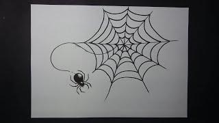 How to Draw a Spider Web - Easy Step by Step Drawing Tutorial for All Ages