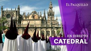  DOMINGO DE RAMOS EN SEVILLA 2024 | COFRADÍAS EN DIRECTO