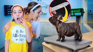 OUR DOG IS PREGNANT!? *WHAT NOW* | Jancy Family
