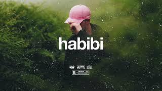 (FREE) | "Habibi" | B Young x Rema x Burna Boy Type Beat | Free Beat | Afrobeat Instrumental 2024