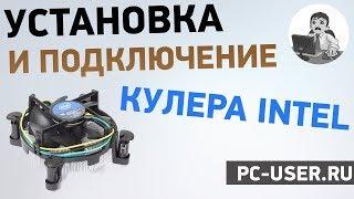 Как установить кулер на процессор Intel. Подробная инструкция