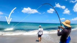 HOOKED A BEACH GIANT DURING AN EPIC BAIT MIGRATION