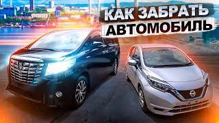 JAPAN LIFE. КАК ЗАБРАТЬ АВТОМОБИЛЬ С СВХ ВО ВЛАДИВОСТОКЕ. ОБЗОР TOYOTA ALPHARD.