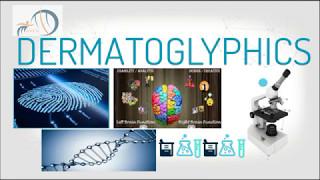 Dermatoglyphics Concept