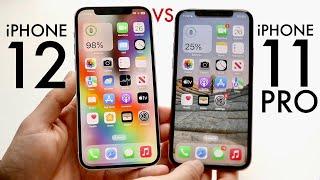 iPhone 12 Vs iPhone 11 Pro In 2024! (Comparison) (Review)