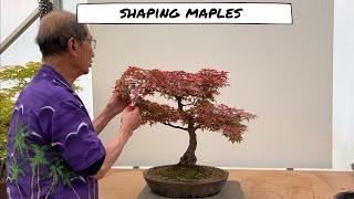 Shaping Maples