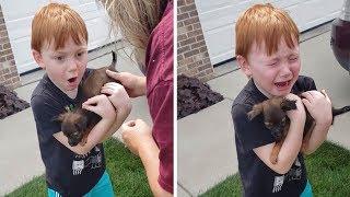 Young Boy Surprised With Tiny Puppy