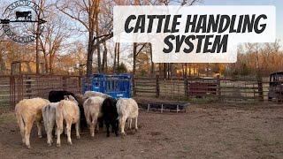 Low Cost - Low Stress - Cattle Handling System - Walkthrough