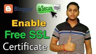 Blogger Blog Website Mein Free SSL Certificate Kaise Lagaye ? Blogging Guide By Niraj Yadav
