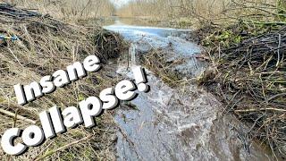 EPIC Beaver Dam Removal!