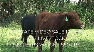 TRI STATE VIDEO SALE 10-11-24 AT 1PM