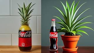 How to grow Pineapple by Coca-Cola